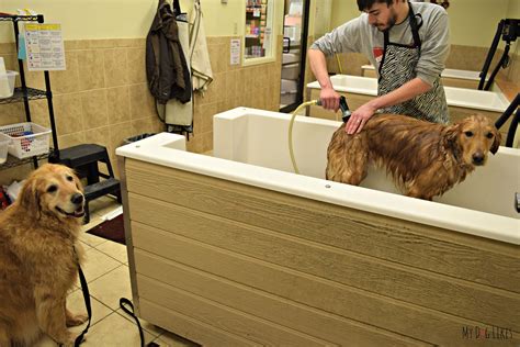 Self dog grooming - How does it work? Visit your Local Tractor Supply's Pet Wash. 1. Our Pet Wash Stations are first come, first serve with no appointment needed! When you arrive to the store, a Team Member can assist you in finding the Pet Wash. Bathe your pet. 2. You bring the pet; we provide the rest! 